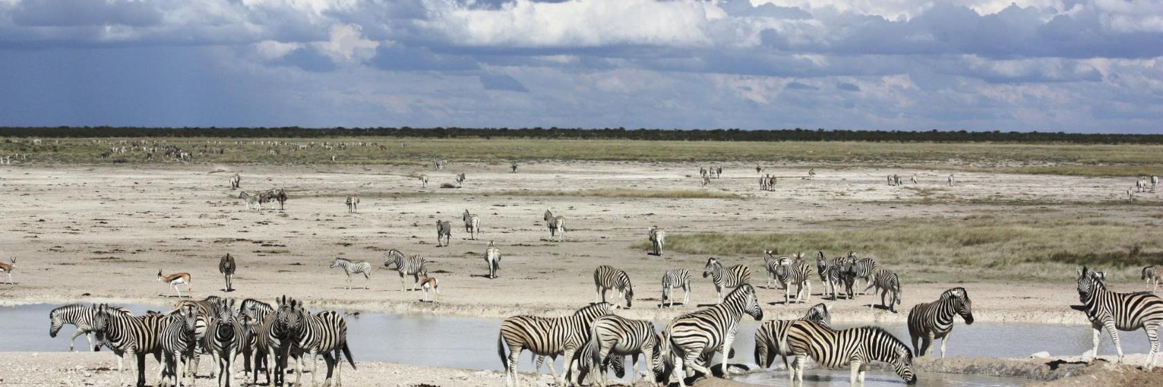 Anderson Gate am Nationalpark Etosha