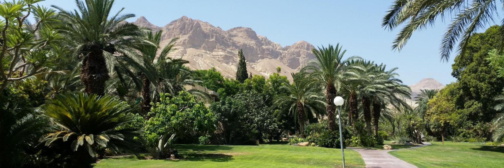 Botanischer Garten Ein Gedi