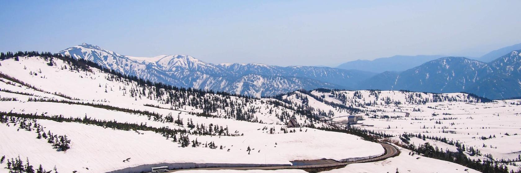 Internationales Skigebiet Niseko Annupuri