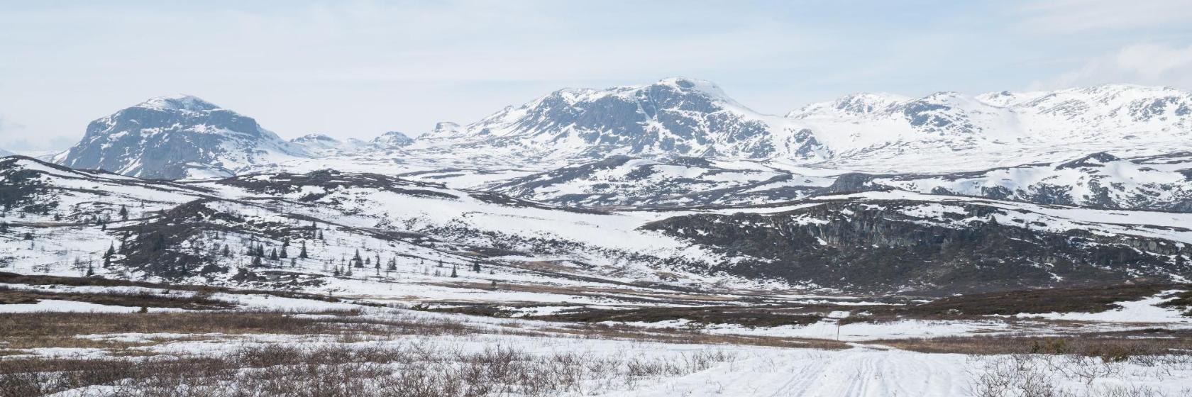 Skigebiet Golsfjellet
