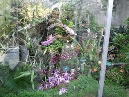 Botanischer Garten Linz