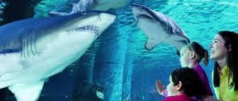 Aquario Comunale Diacinto Cestoni