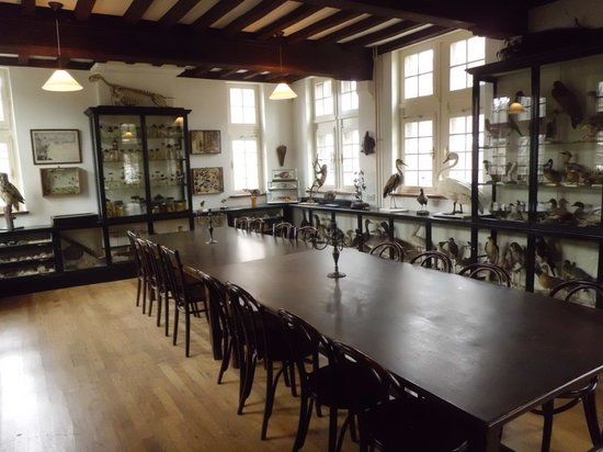 Naturhistorisches Museum Maastricht