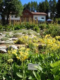 Botanischer Alpengarten Viote