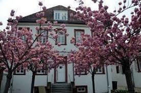 Museum für Weinbau und Stadtgeschichte
