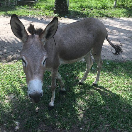 Kinshasa Zoo & Botanical Gardens