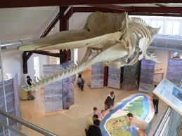 Nationalpark-Haus Wittbülten