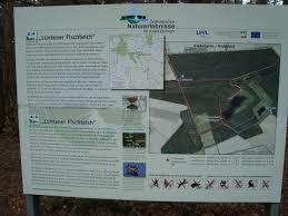 Lüntener Fischteiche