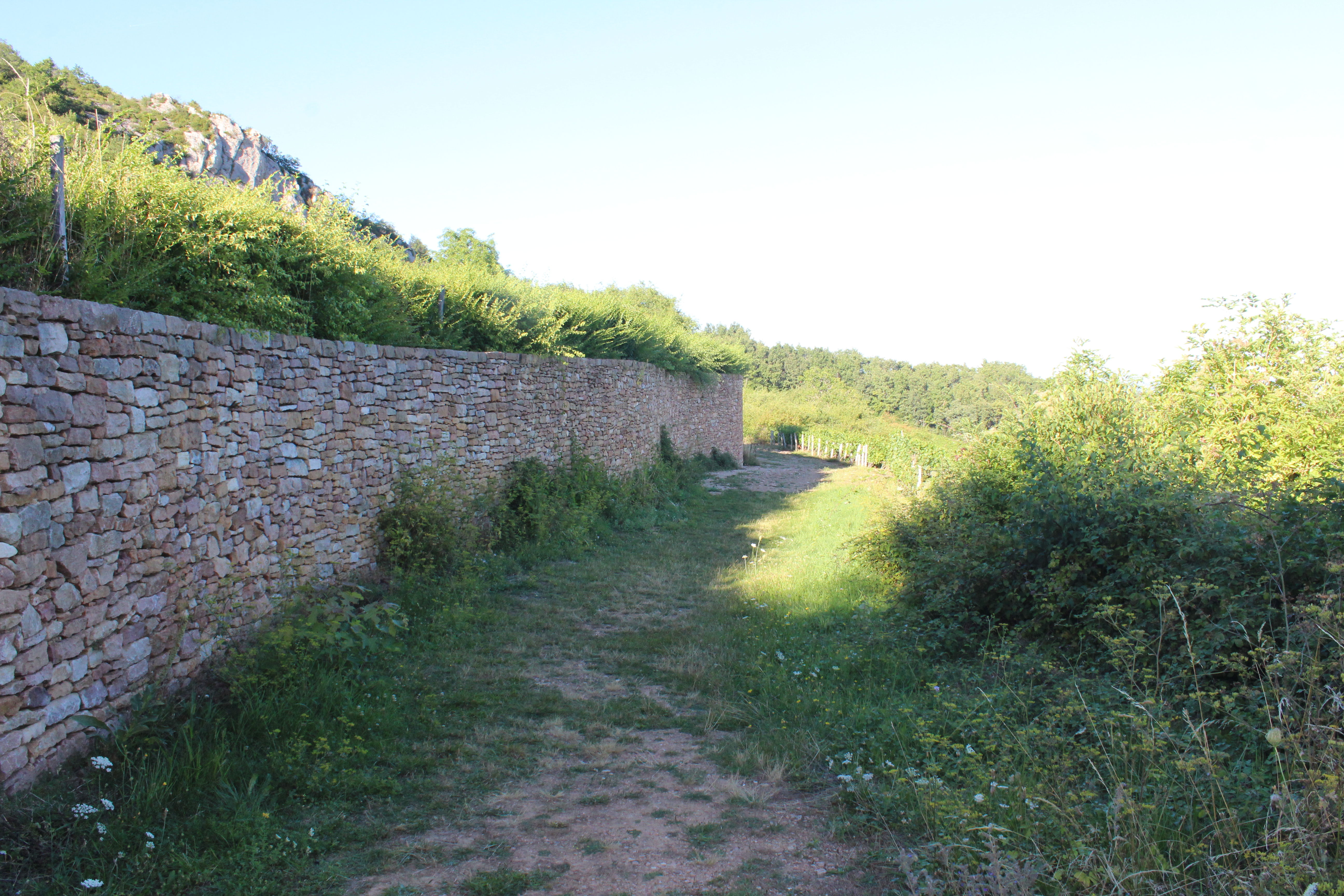 Gisement prehistorique de Solutre