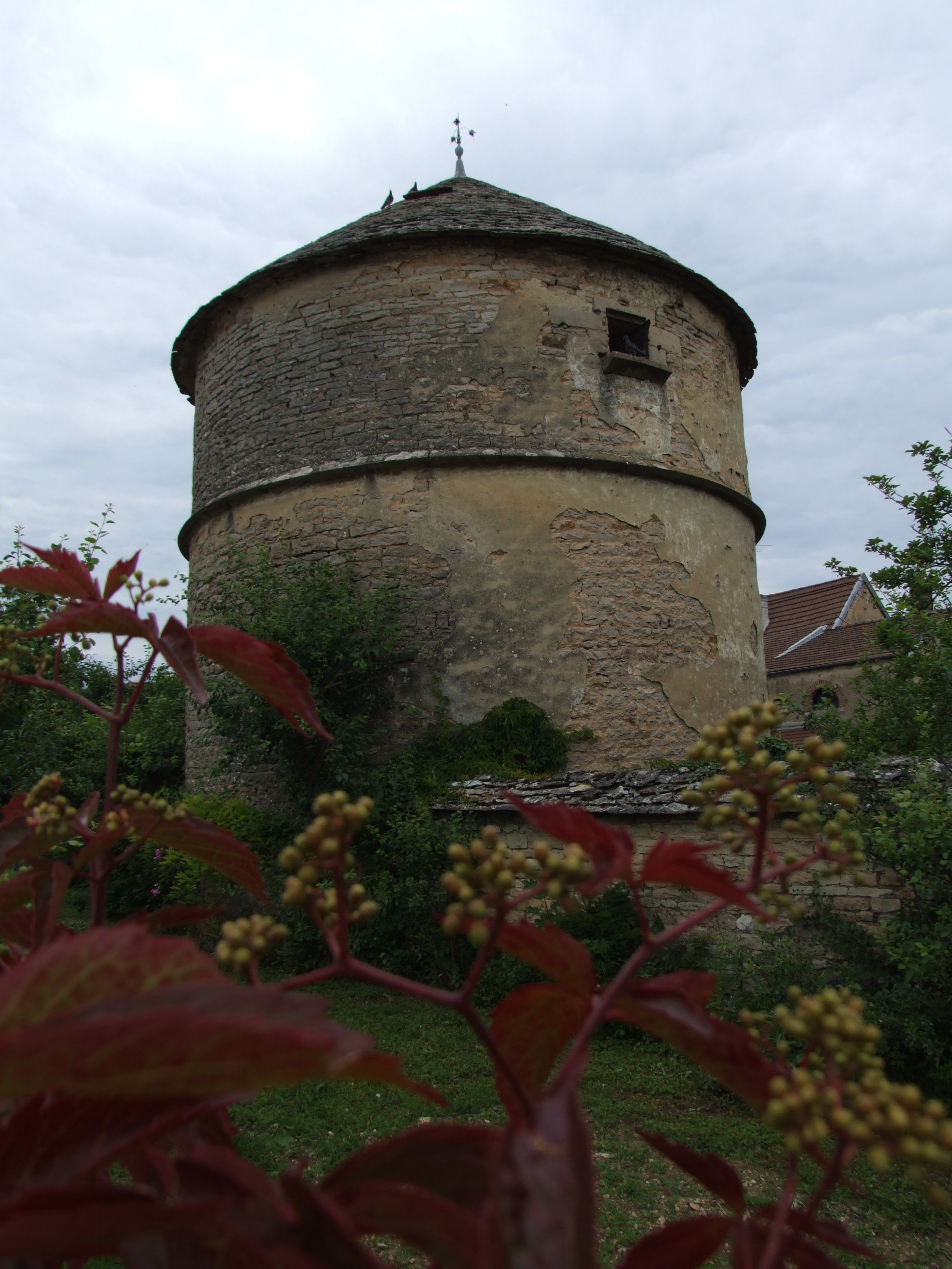 Taubenturm