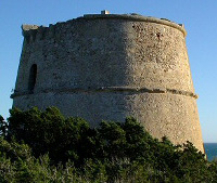 Torre des Pi des Catala