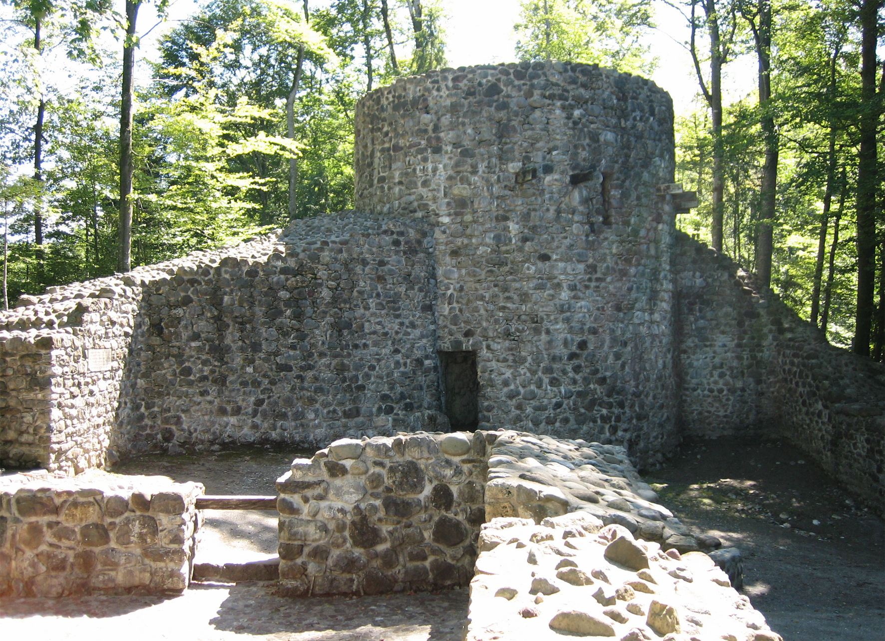 Burg Wildenburg