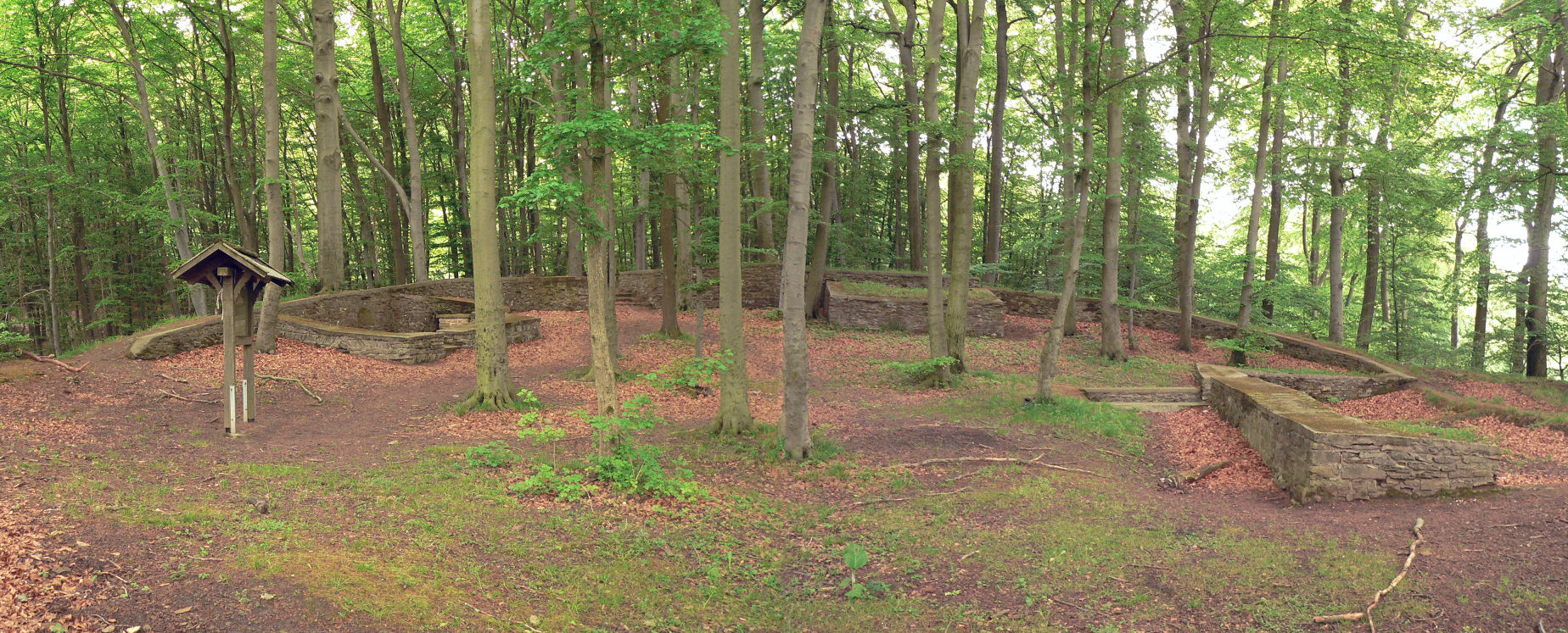 Hünenburg Hohenrode