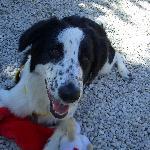 Berggasthaus Haldenhof