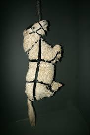 Westfälisches Pferdemuseum Münster GmbH