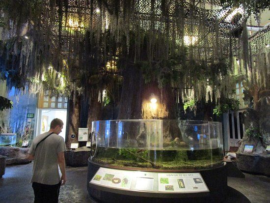 Audubon Butterfly Garden and Insectarium