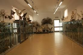 Museo Missionario Cinese e di Storia Naturale Lecce