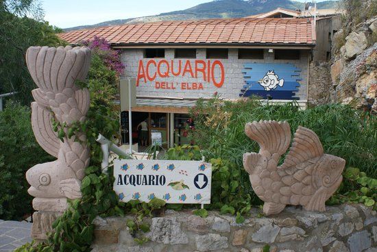 Aquarium von Elba