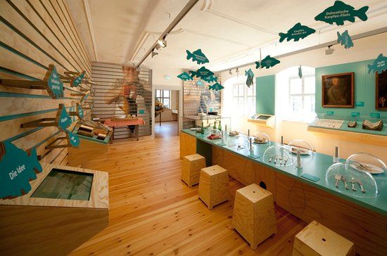 Aischgründer Karpfenmuseum