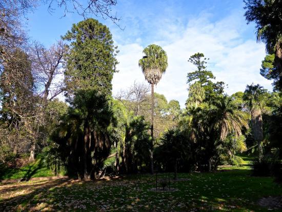Botanischer Garten Adelaide
