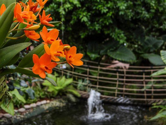 Raffeiner Orchideenwelt