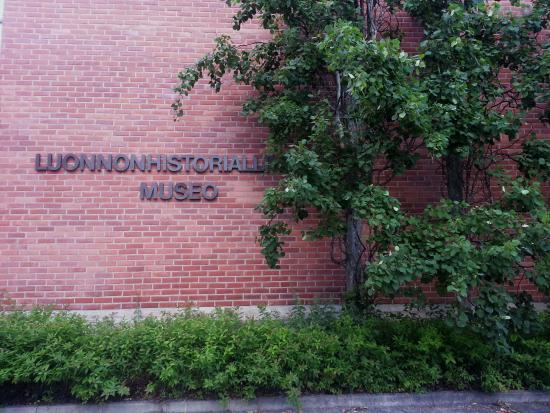 Naturkundemuseum Forssa