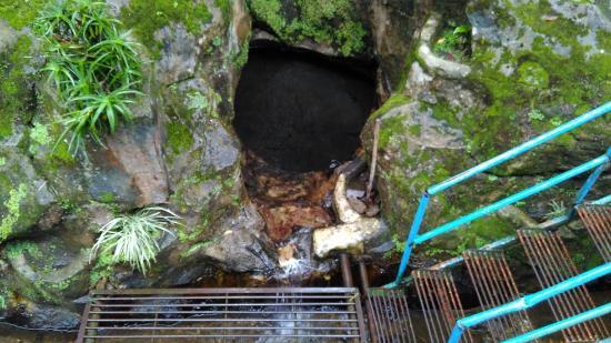 Arboretum Sumber Brantas