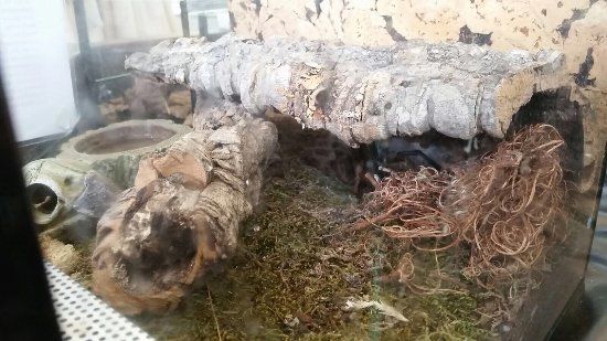 Kinder- & Jugendmuseum Nürnberg