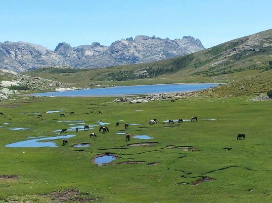 Ranch u Niolu a Cavallu