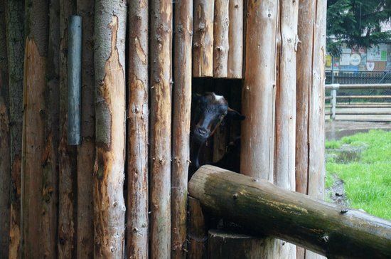 Bayerwald-Tierpark Lohberg