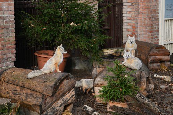 Zoologischer Garten Litauens