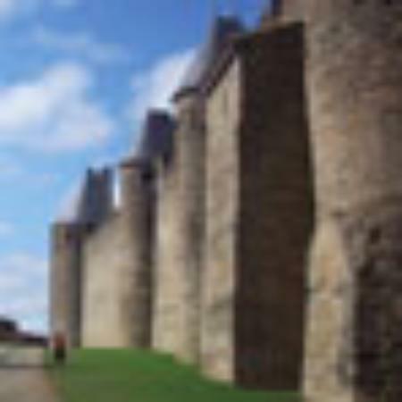 Il Boschetto Ristorante Pizzeria